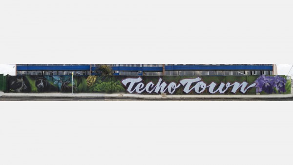 Techo Town