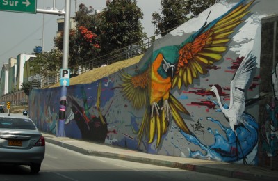 La caricatura de los alvidades de Ivan Alexander