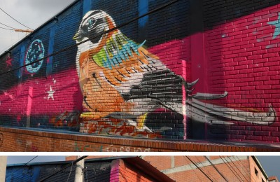 Insista en la educación de Bogotarros Crew