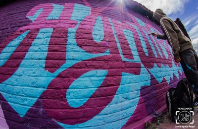 Ave de la Fortuna de Hyntiba