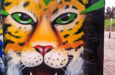 Estilo Salvaje de Johan González