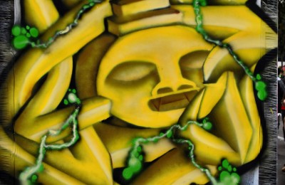 Raices - Pana Scrapy - Juan Paniagua