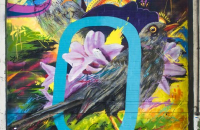 Nuevos horizontes de Yurica